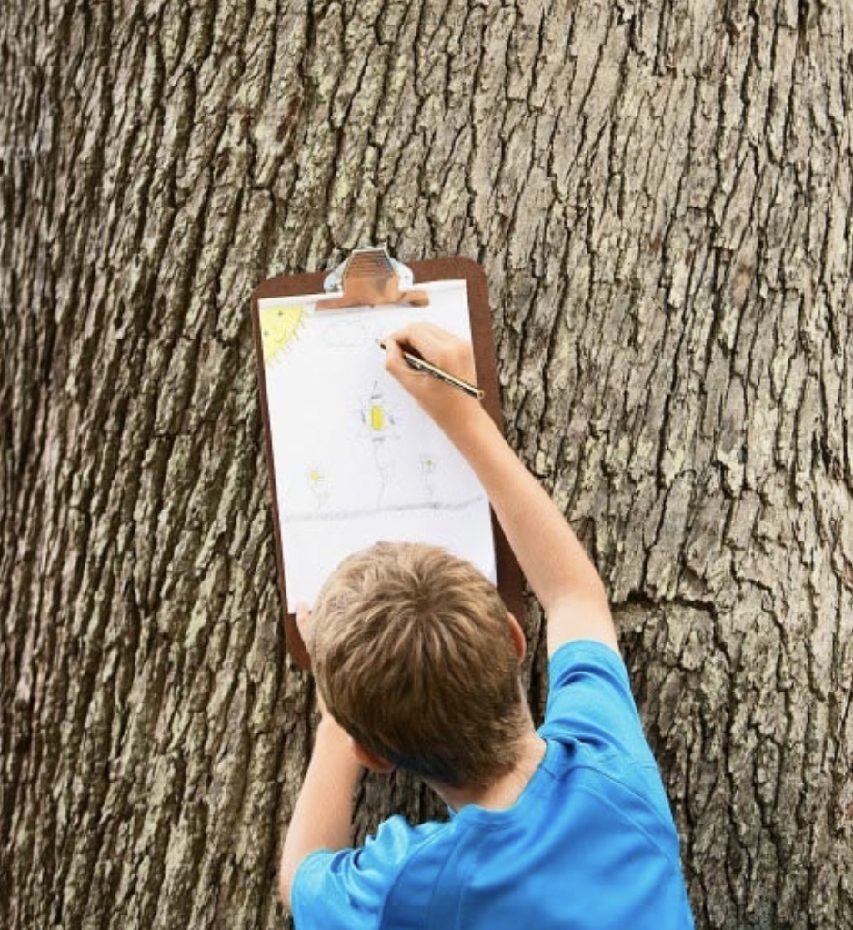 Forest treasure hunt 31/08 Jezus-Eik (3-12 years)